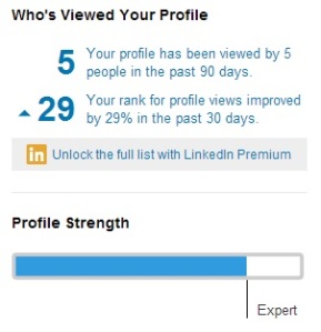 LinkedIn Views